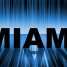 The Miami Movie